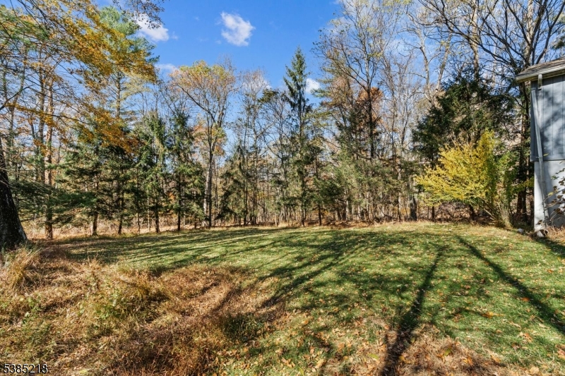 126 Armstrong Road Montague, NJ 07827 - Photo 25 of 28 a big yard with lots of green space and trees