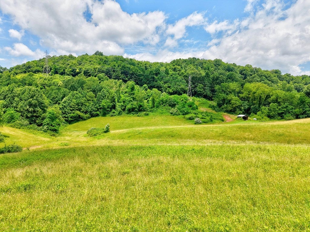 Tbd Goodpasture Hollow Road Marion, VA 24354 - Photo 15 of 38 Gallery Image 15