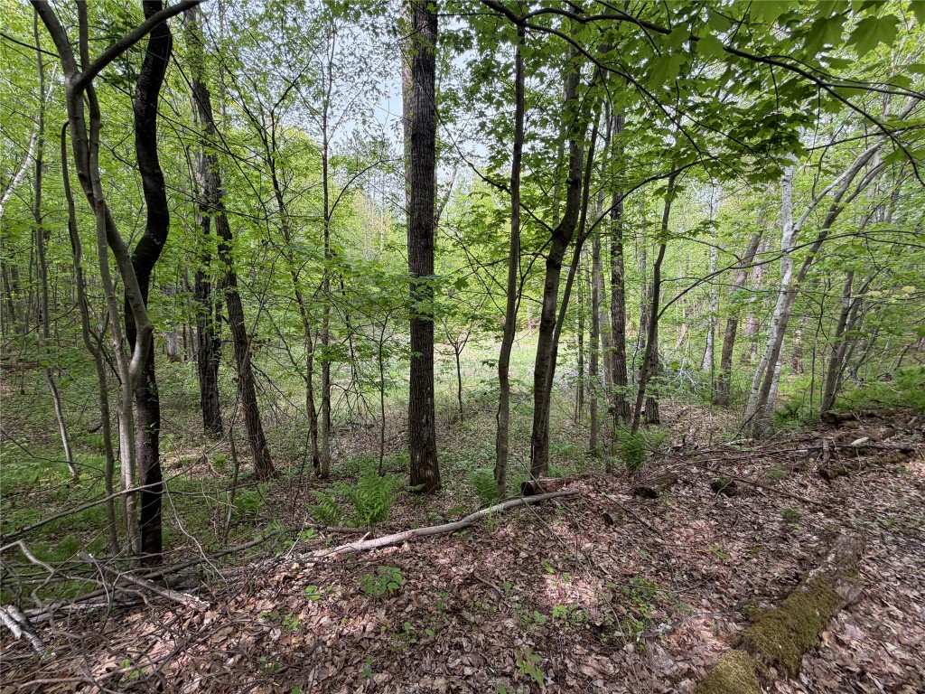 Lot 4 Peterson Road Foxboro, WI 54836 - Photo 8 of 11