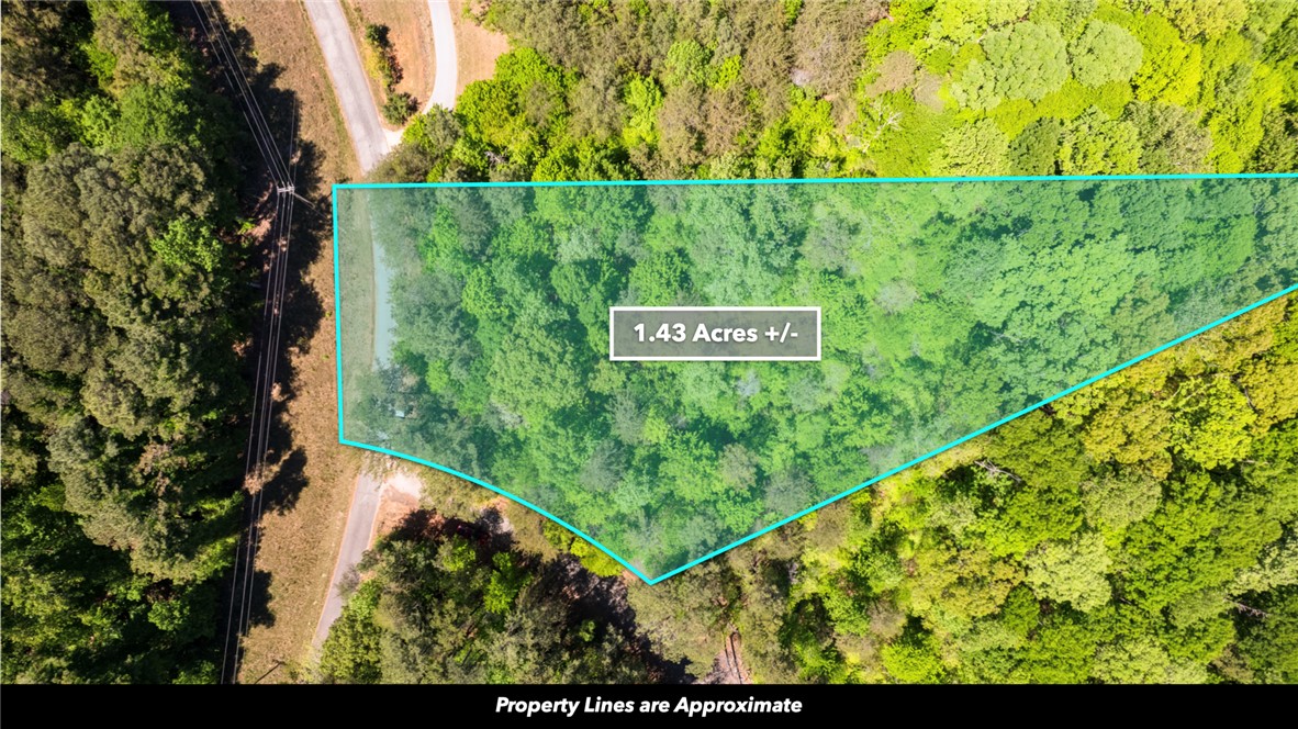 26 Wilbanks Road Seneca, SC 29678 - Photo 4 of 47 This expansive lot offers a blank canvas for your dream property, surrounded by lush greenery.