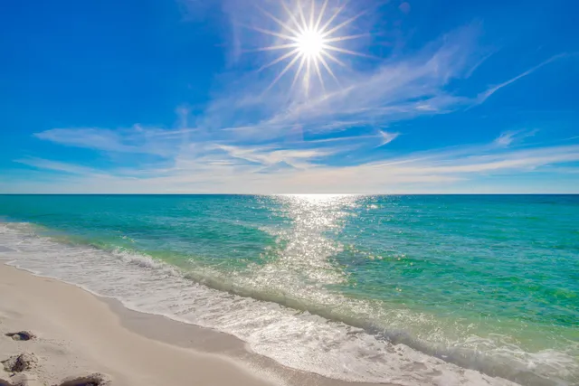 a view of a yard with an outdoor space