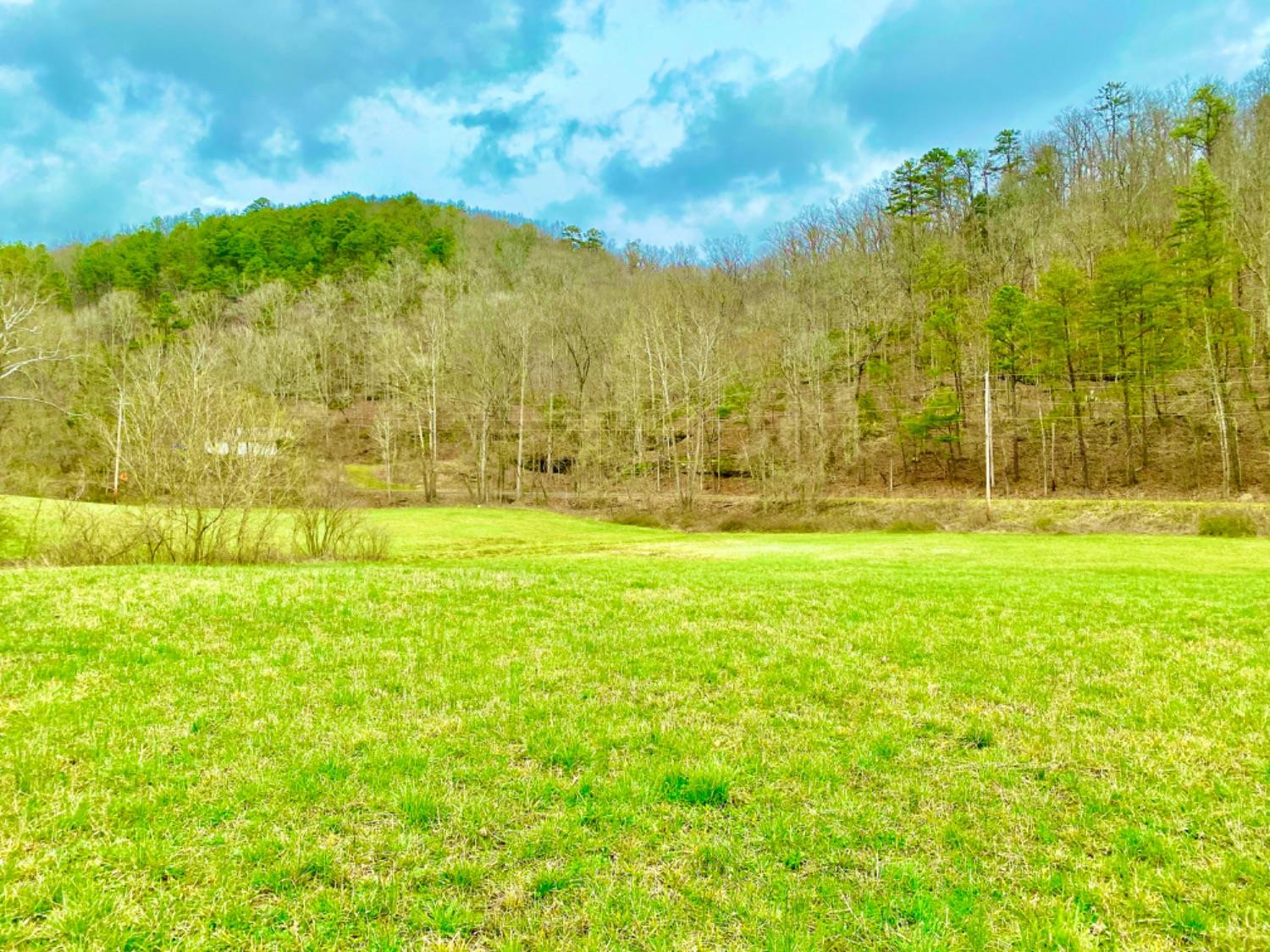 999 South Upper River Road Livingston, KY 40445 - Photo 7 of 11 Photo 7