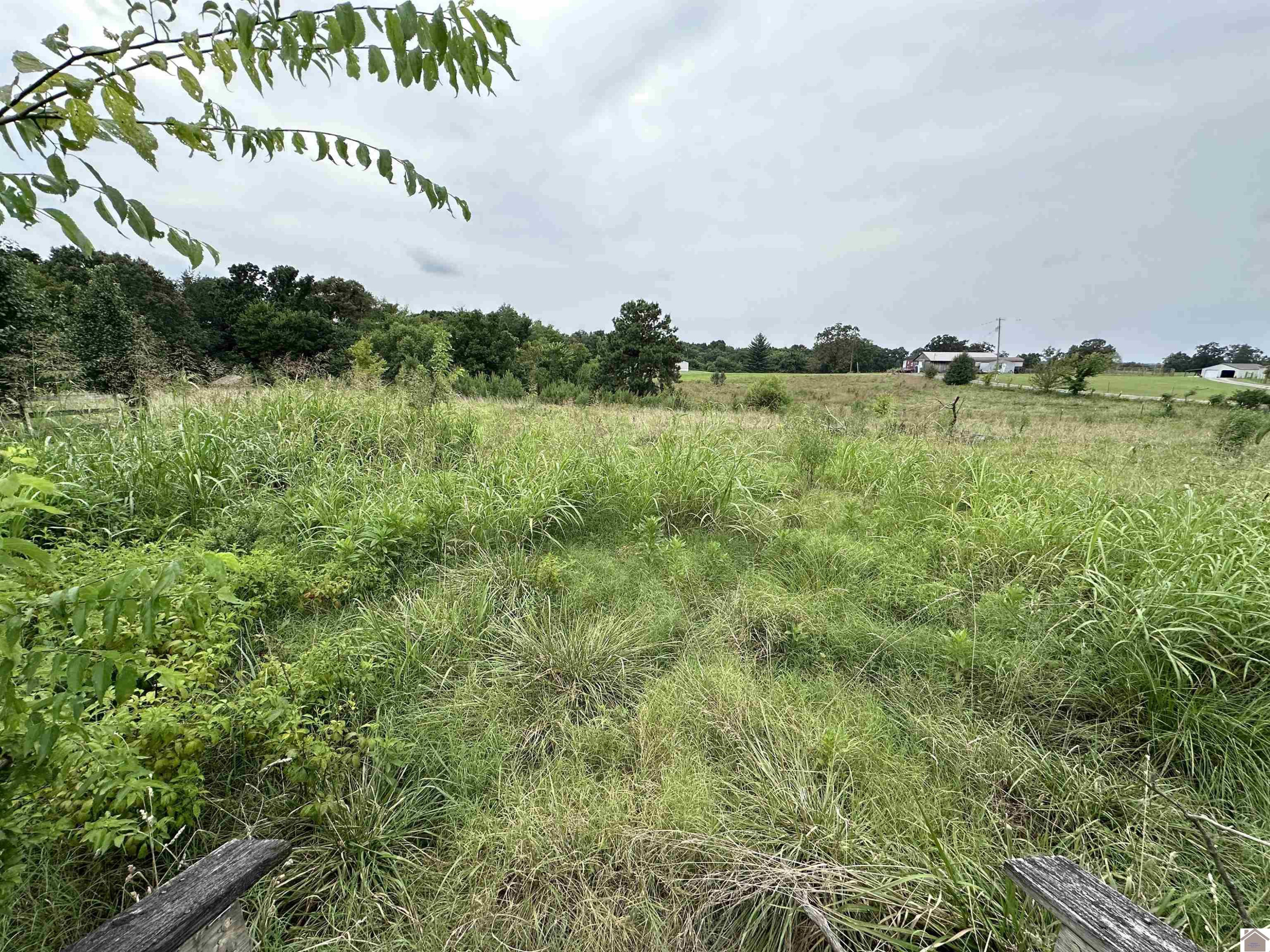 743 Union Ridge Church Road Benton, KY 42025 - Photo 12 of 12 Photo 12