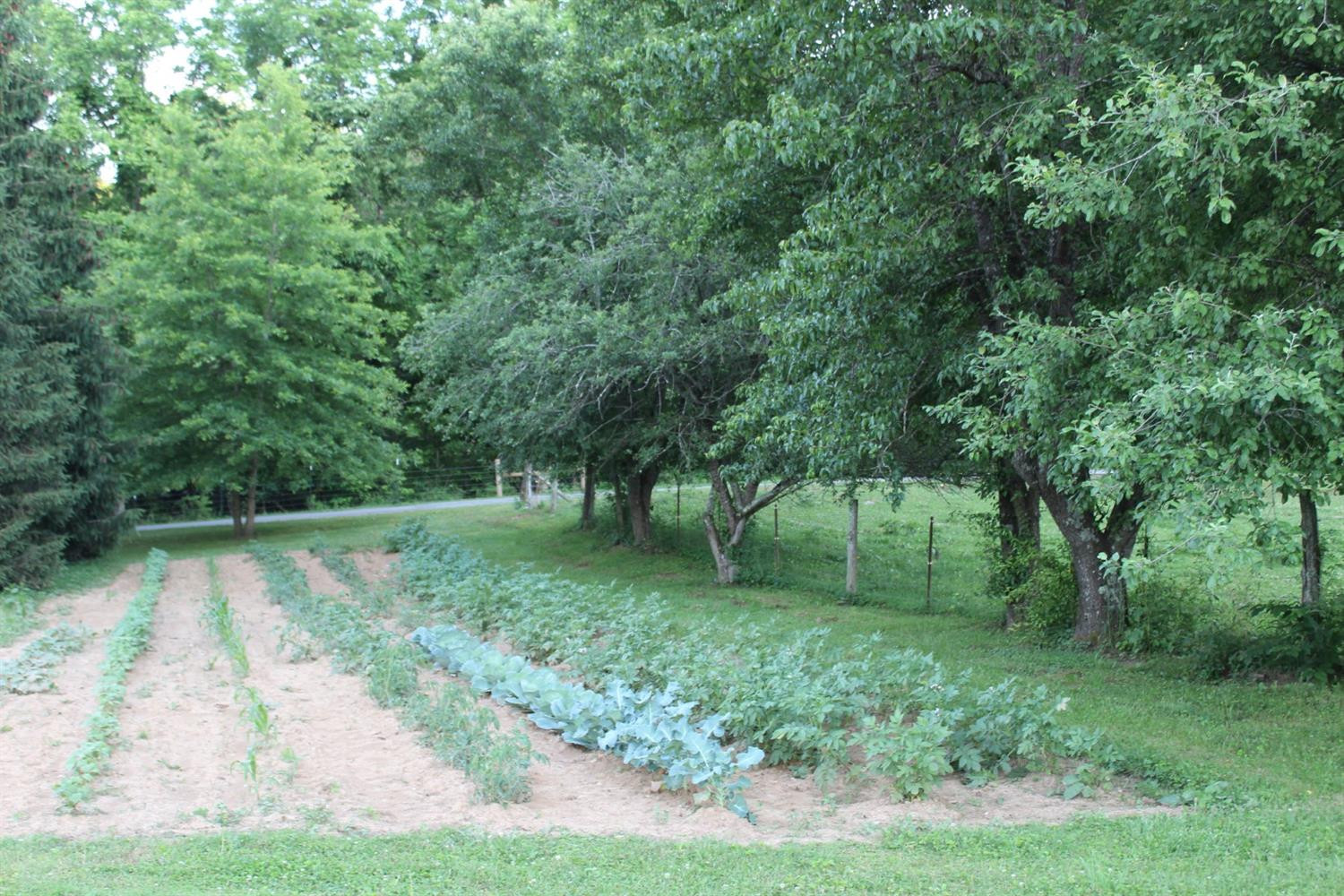 2042 Low Gap Road Mount Vernon, KY 40456 - Photo 18 of 45 Photo 18