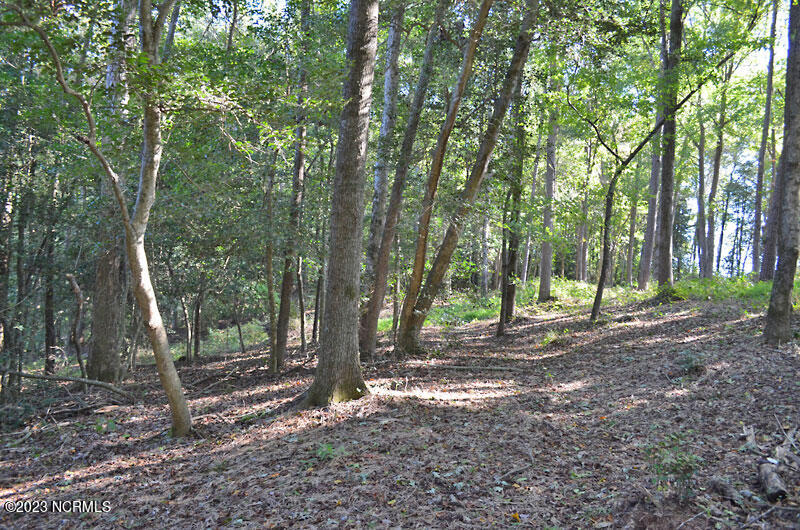 1 Old Mill Road Stantonsburg, NC 27883 - Photo 5 of 15 15