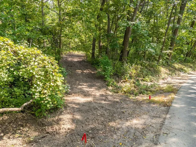 $165,000 | 2-acres Meadow, Loganville, WI 53943