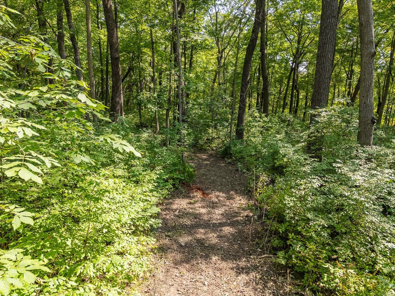 2-acres Meadow Loganville, WI 53943 - Photo 15 of 29