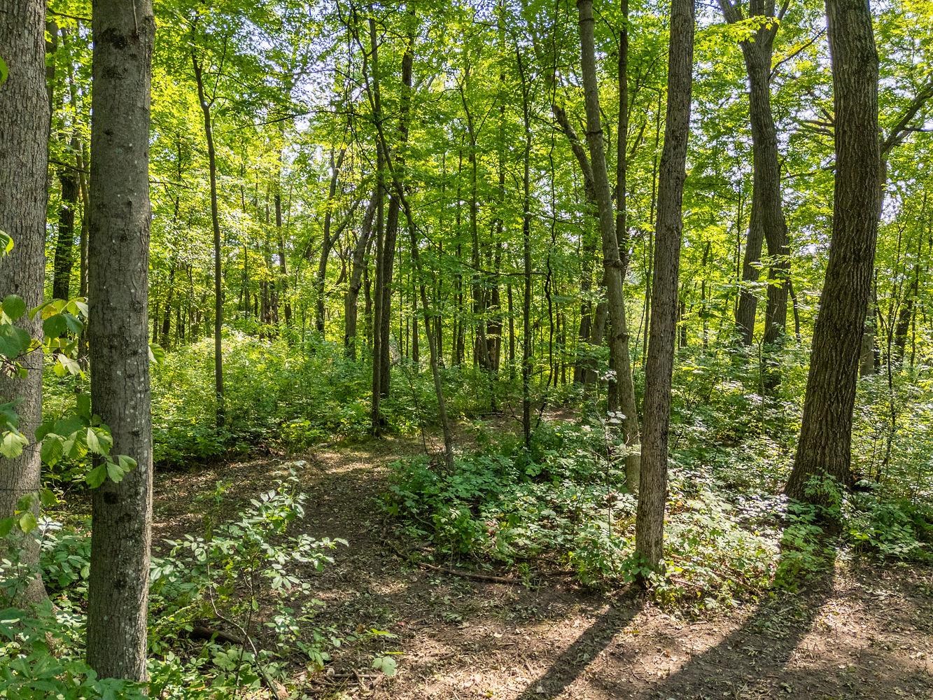 2-acres Meadow Loganville, WI 53943 - Photo 20 of 29