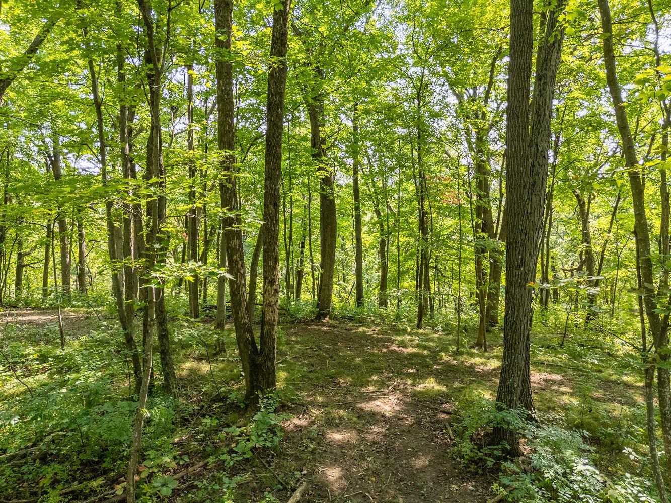 2-acres Meadow Loganville, WI 53943 - Photo 22 of 29