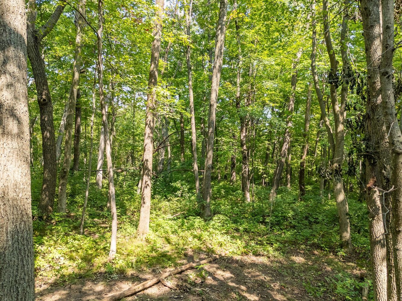 2-acres Meadow Loganville, WI 53943 - Photo 26 of 29