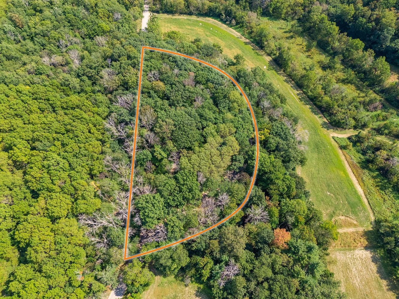 2-acres Meadow Loganville, WI 53943 - Photo 6 of 29