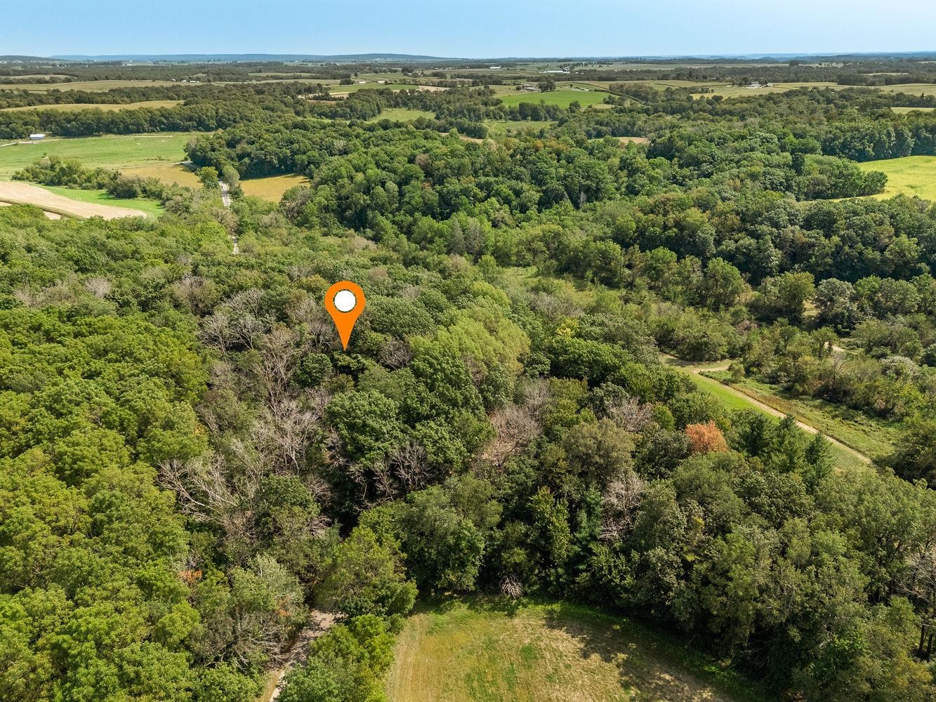 2-acres Meadow Loganville, WI 53943 - Photo 9 of 29