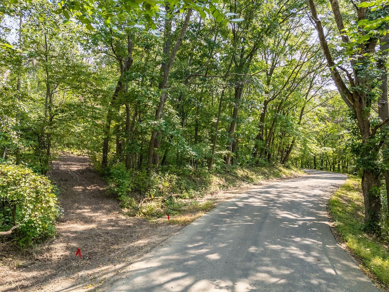 2-acres Meadow Loganville, WI 53943 - Photo 10 of 29