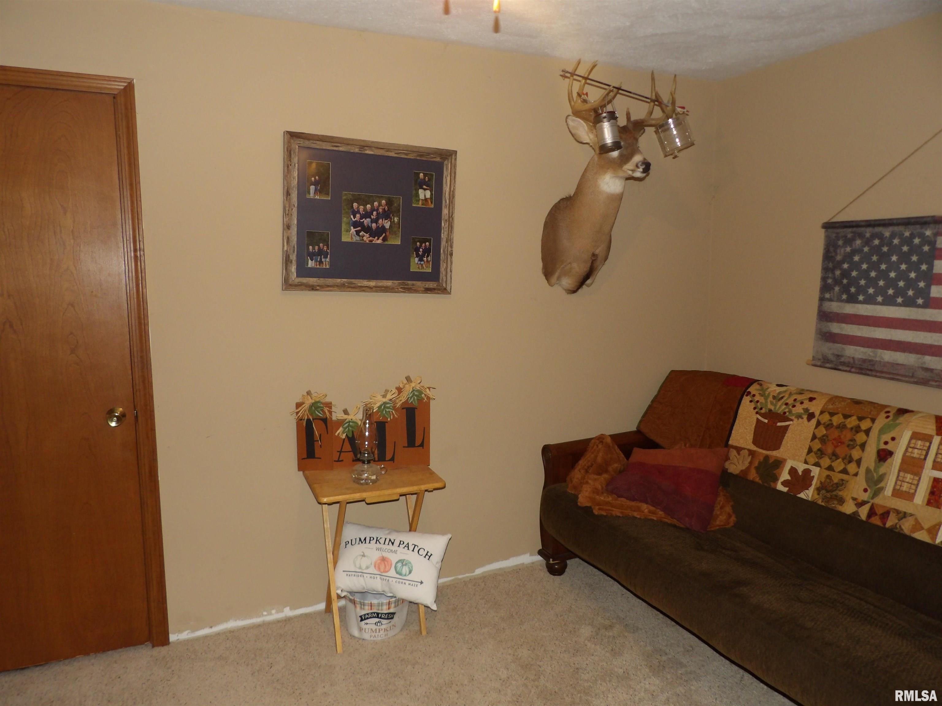 10496 Wilson Road Benton, IL 62812 - Photo 9 of 25