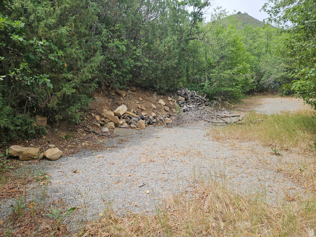 46 South Upper Birch Creek Road East, Unit L46 Fairview, UT 84629 - Photo 8 of 12 Gravel lot with natural landscaping, surrounded by mature trees and verdant foliage