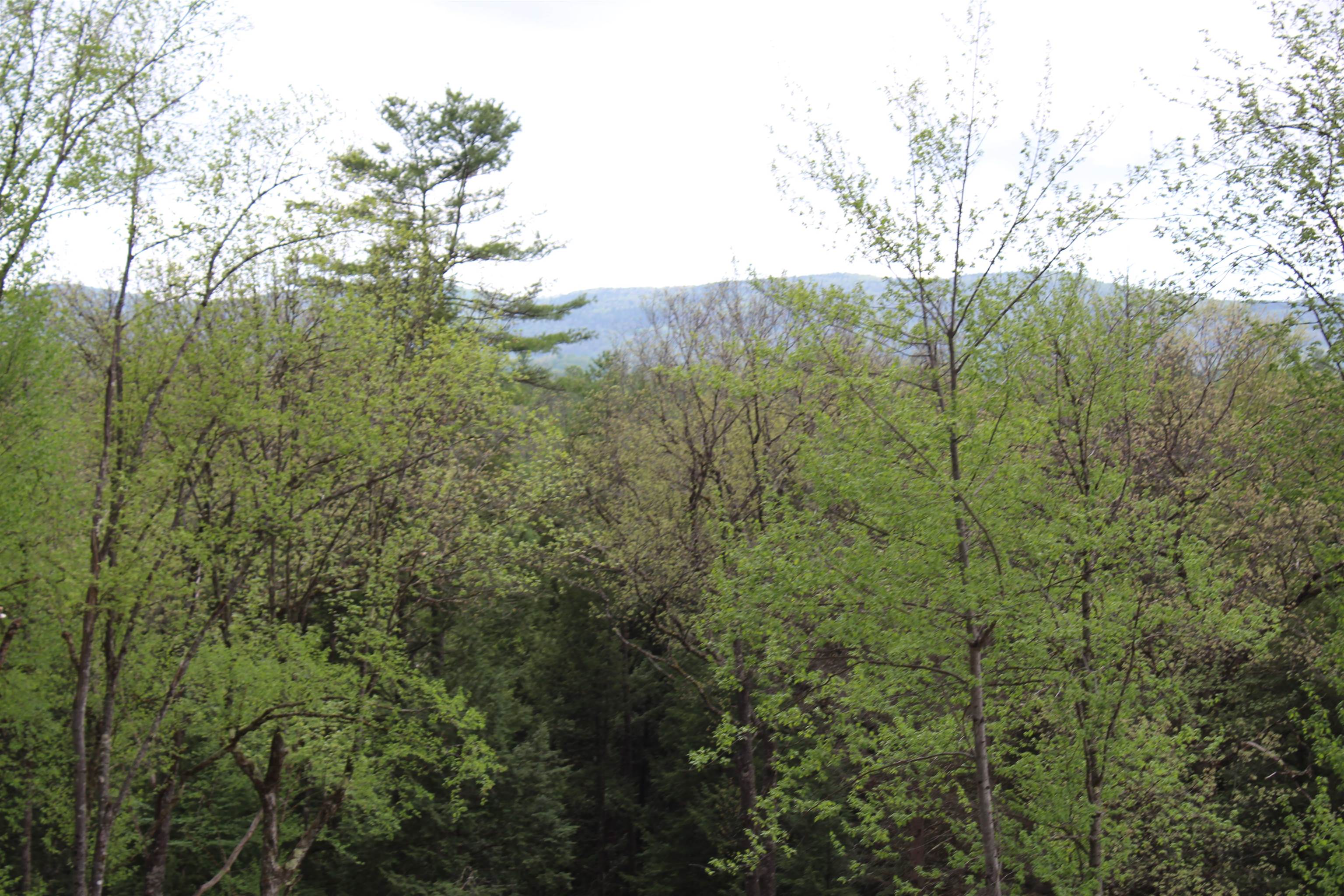 Lot 23-24 Wetherbee Road Lyman, NH 03585 - Photo 8 of 54