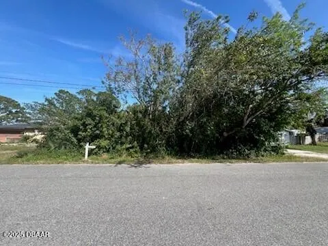 a view of outdoor space and yard