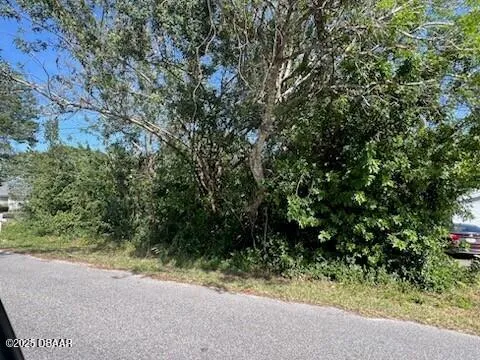 a view of a yard with plants and a tree