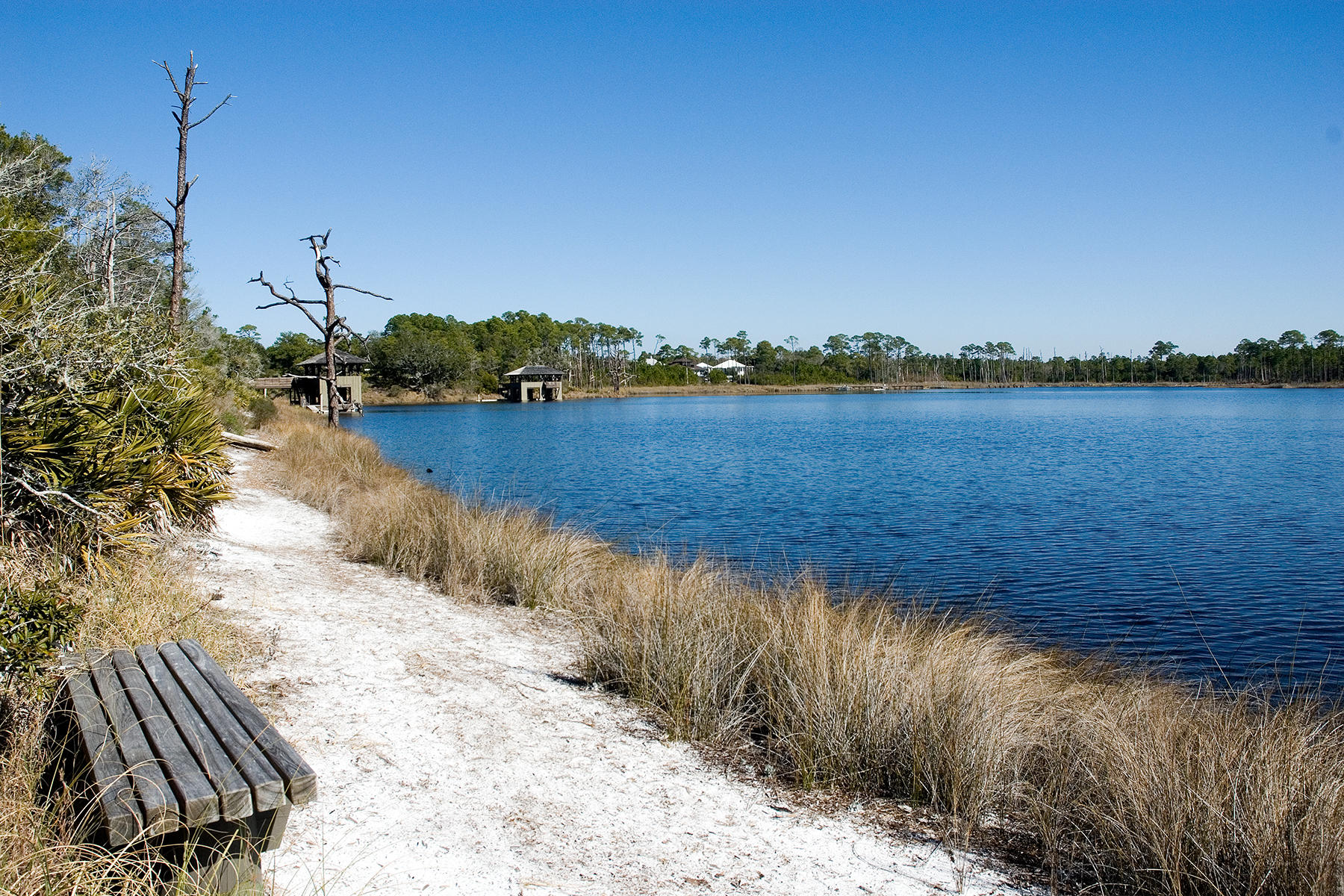 33 Bluff Lane Santa Rosa Beach, FL 32459 - Photo 27 of 37 a view of a lake from a yard