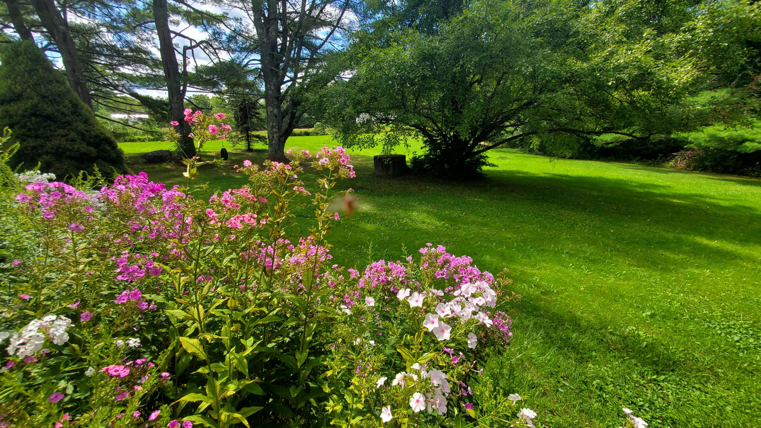 1497 Middle Road Dresden, ME 04342 - Photo 19 of 84 20240822_123707