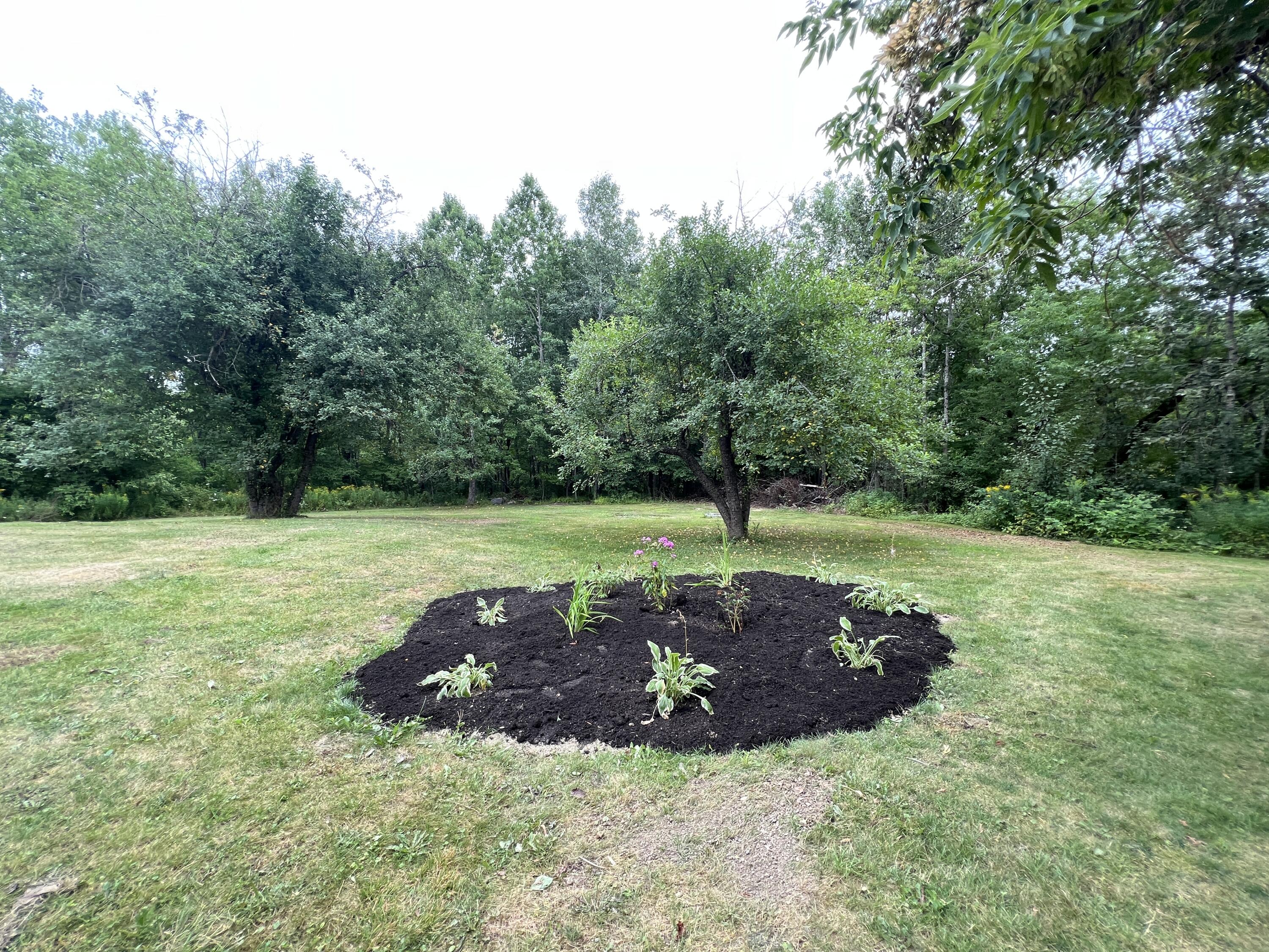 711 Bog Road Hermon, ME 04401 - Photo 58 of 65 Garden