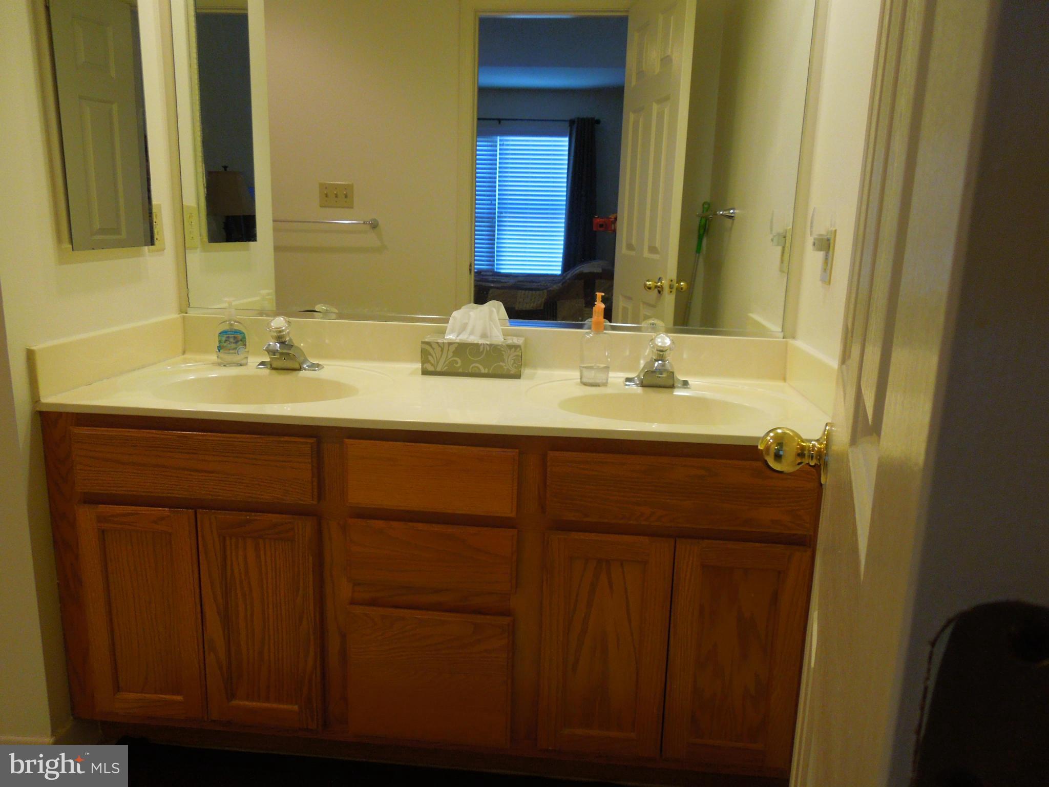16808 Centerfield Way Olney, MD 20832 - Photo 16 of 22 a bathroom with a double vanity sink and a mirror