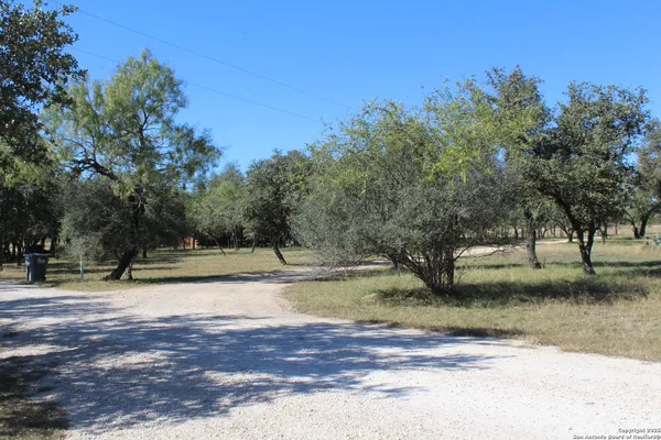 a view of dirt field with trees