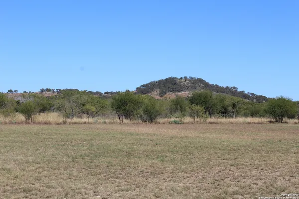 a view of outdoor space with garden and trees