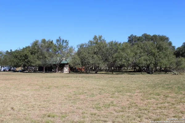 a view of dirt field with trees in background