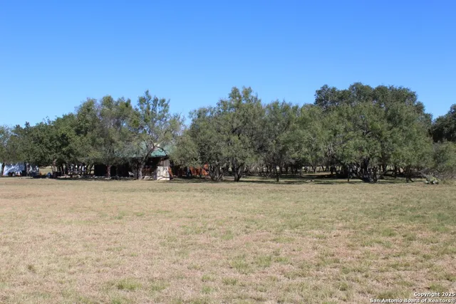 a view of dirt field with trees in background