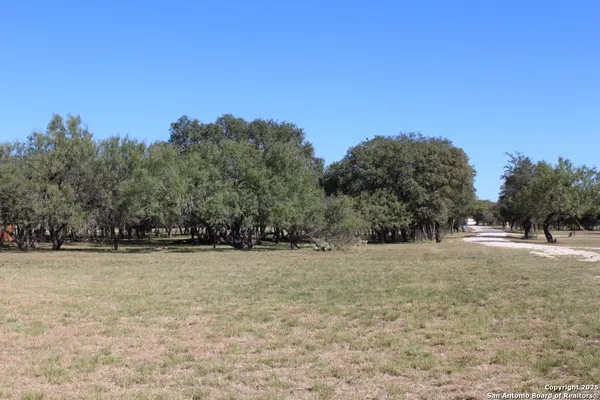 a view of backyard with green space