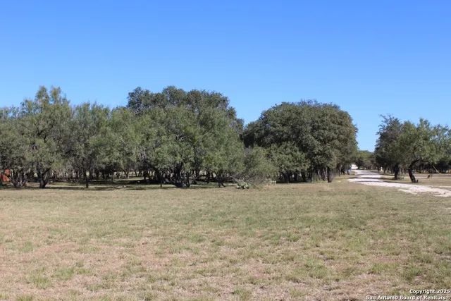 a view of backyard with green space