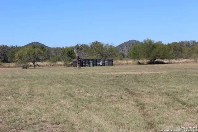 a view of dirt yard with a large tree