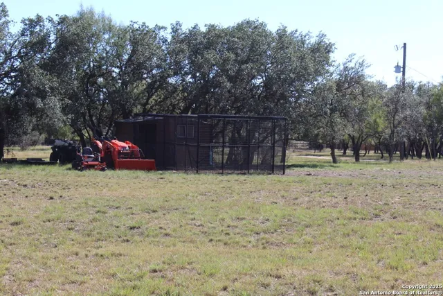 a view of a dry yard with trees