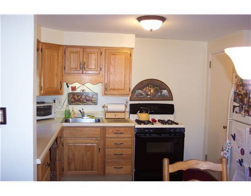 269 Orchard Spring Road Pittsburgh, PA 15220 - Photo 8 of 18 Kitchen.