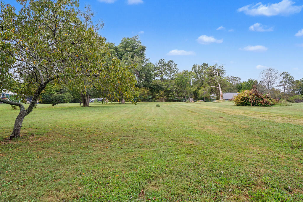 0 Carl Wood Road Rocky Face, GA 30740 - Photo 10 of 58 Gallery Image 10