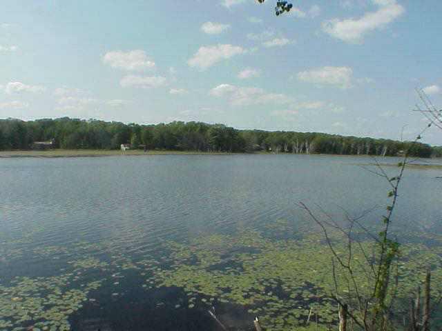 Lot 22 Southwest Meadow Lake Road Motley, MN 56466 - Photo 1 of 1 Gallery Image 1