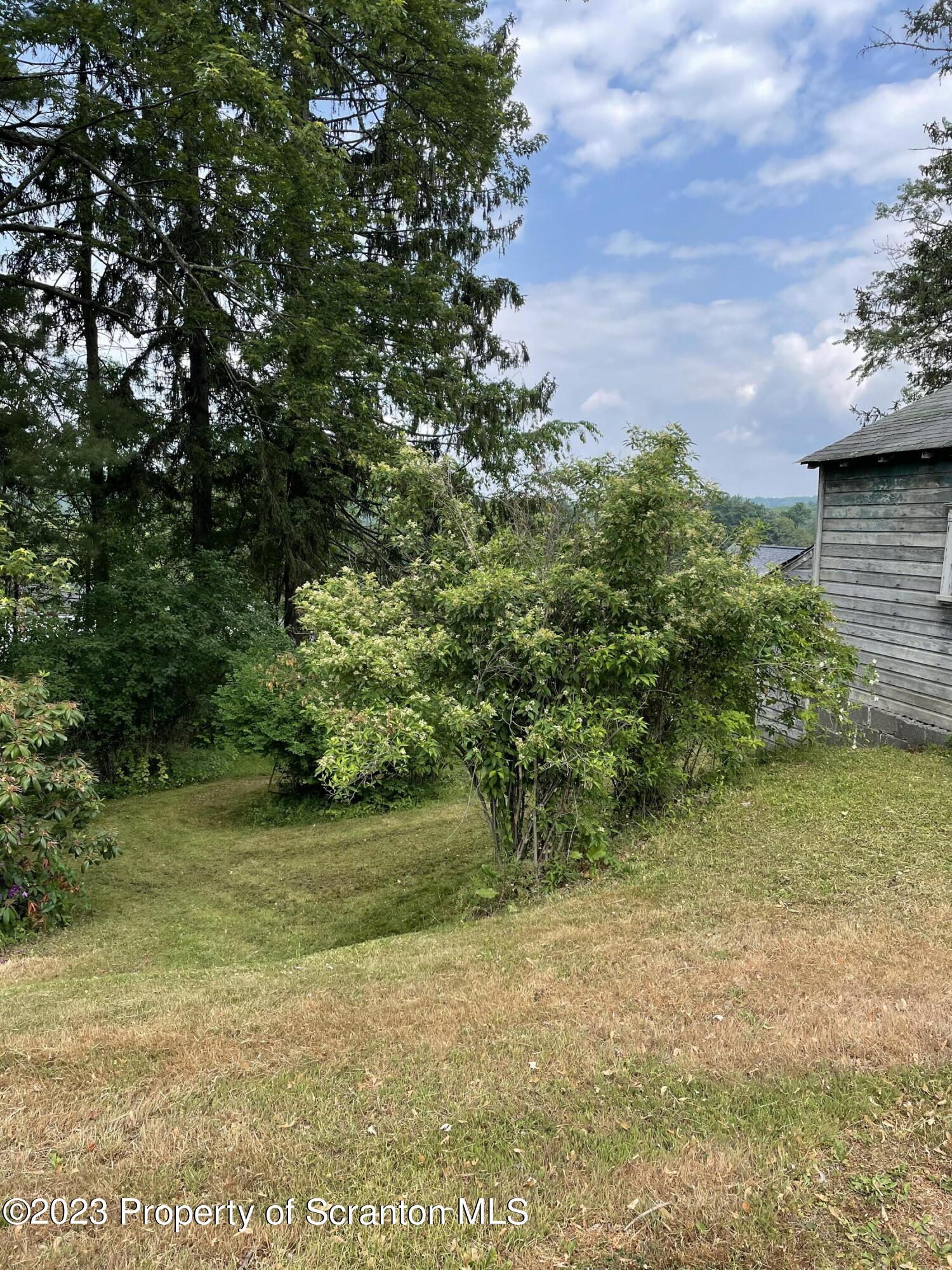 181 East Hillside Street Shavertown, PA 18708 - Photo 8 of 22 a view of a yard with plants and a bench