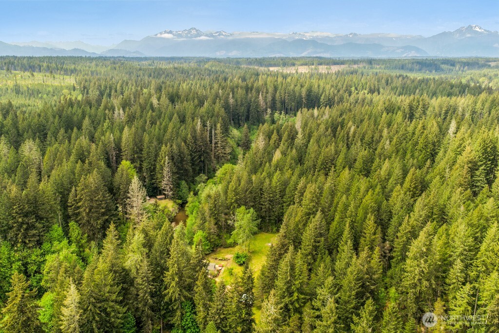 3480 Northeast Belfair Tahuya Road Tahuya, WA 98588 - Photo 13 of 40