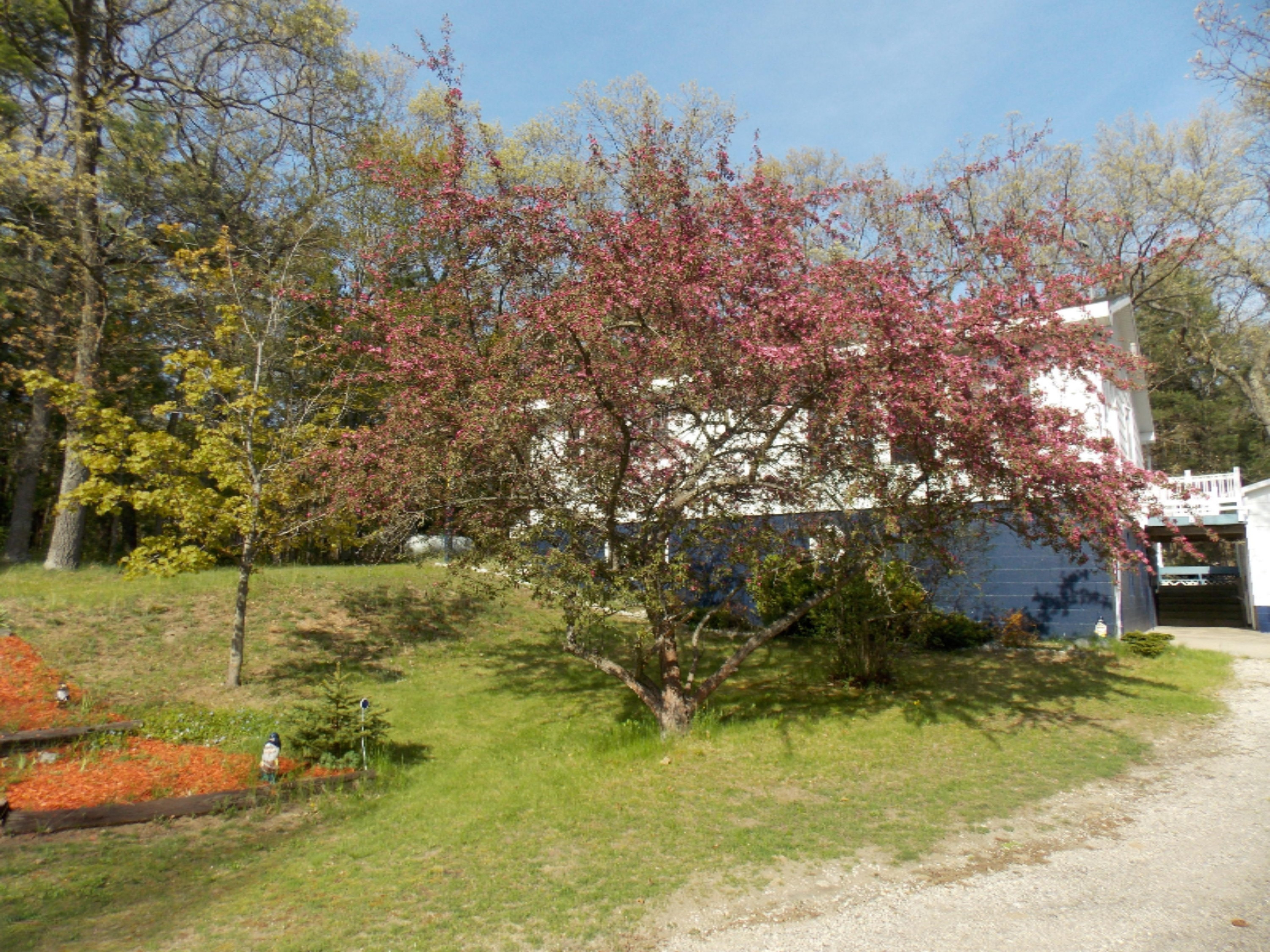 3145 Maple Road Manistee, MI 49660 - Photo 3 of 67 DSCN1945