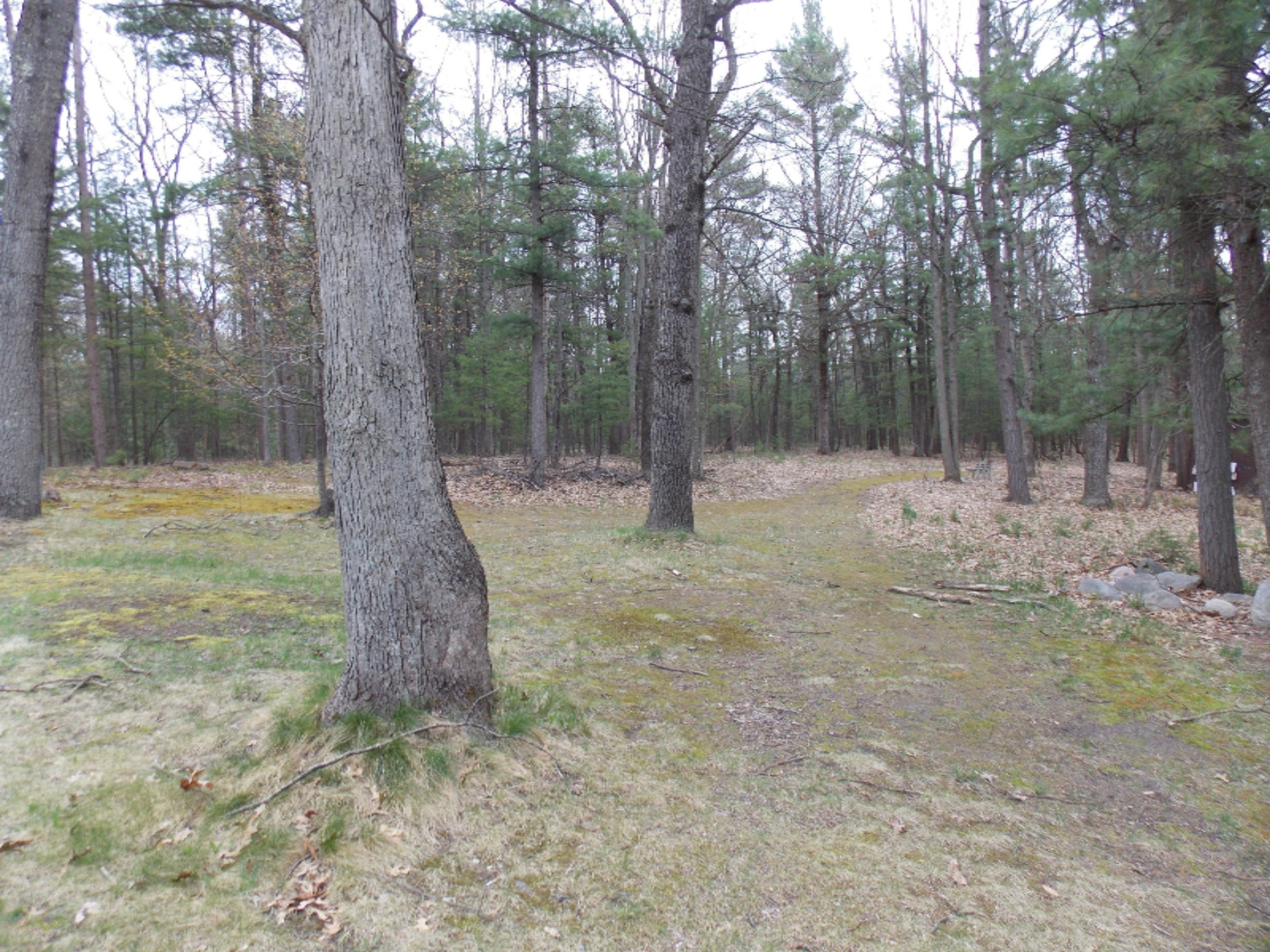 3145 Maple Road Manistee, MI 49660 - Photo 57 of 67 DSCN1880