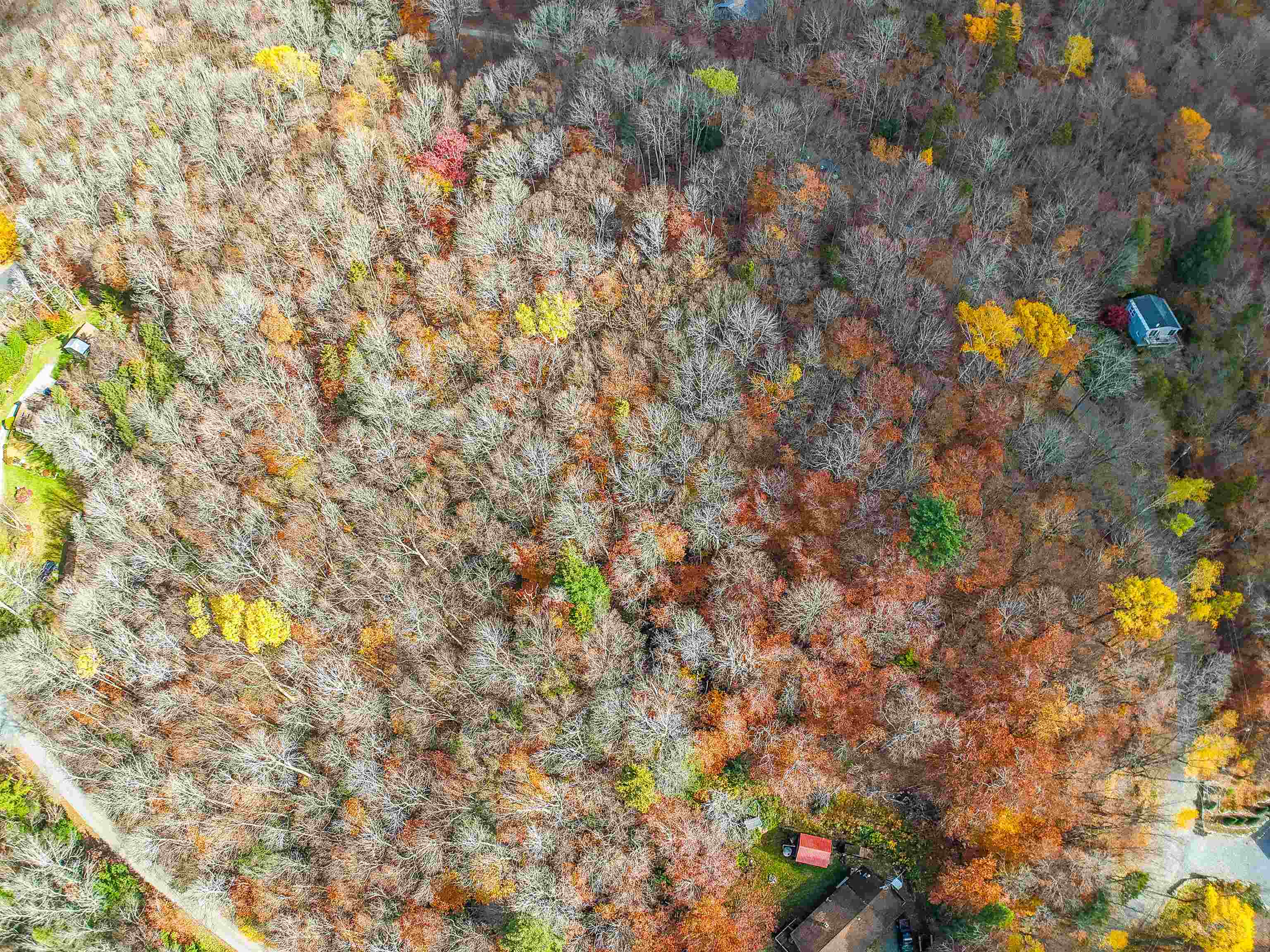 0 Heartwellville View Road, Unit 64 Readsboro, VT 05350 - Photo 3 of 4