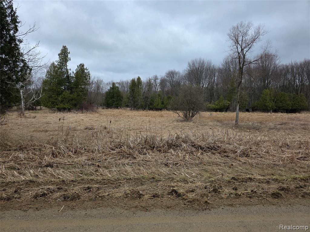 0 Martus Road Lapeer, MI 48446 - Photo 18 of 19