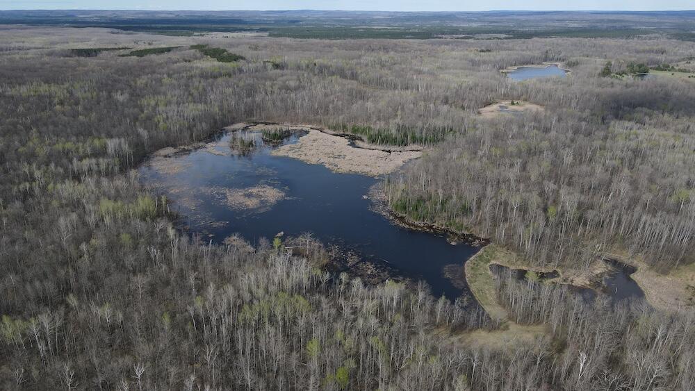 Vl Curtisville Road Mio, MI 48647 - Photo 19 of 141 DJI_0739