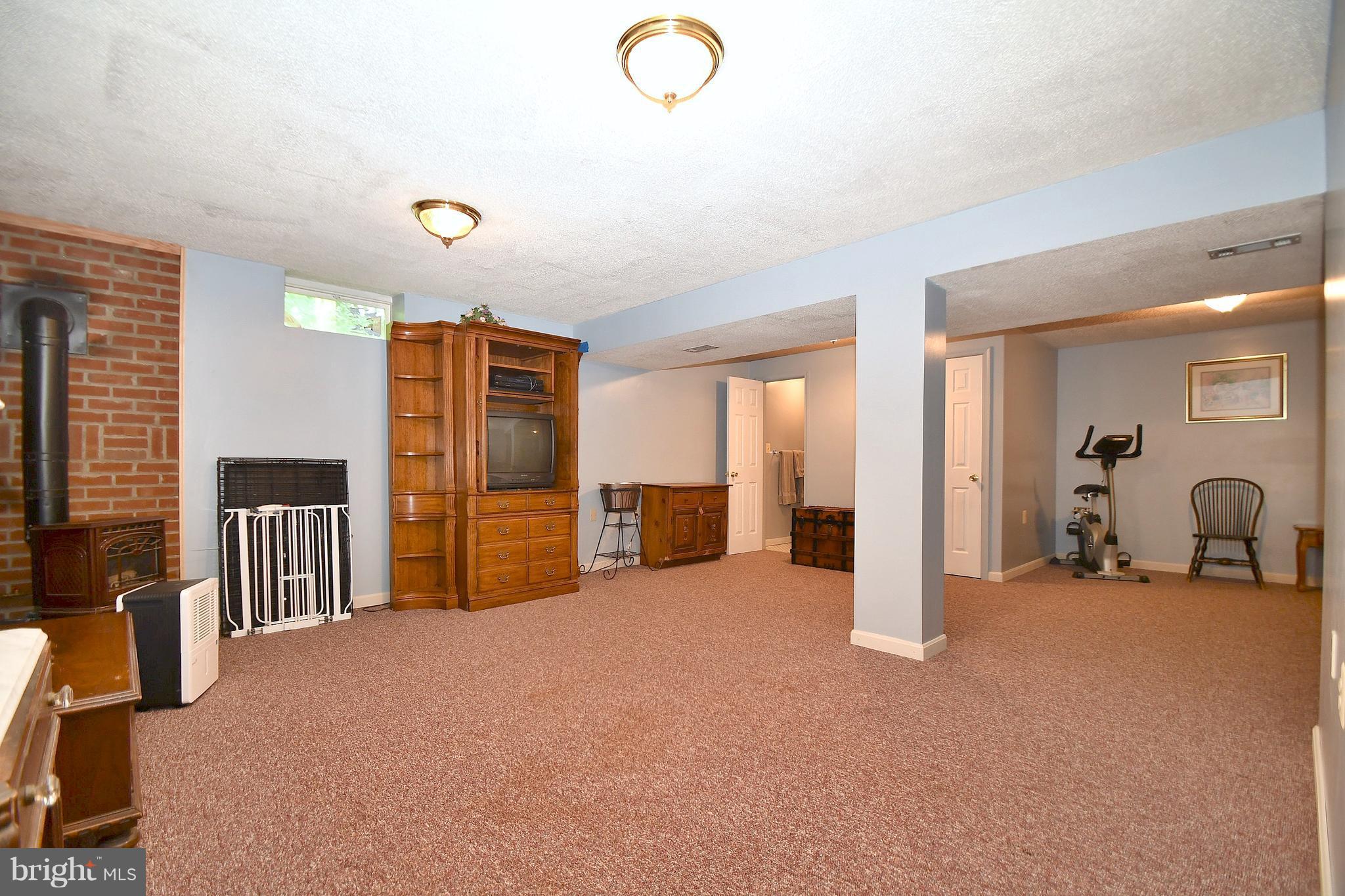 111 Holy Cross Road Street, MD 21154 - Photo 24 of 30 Basement