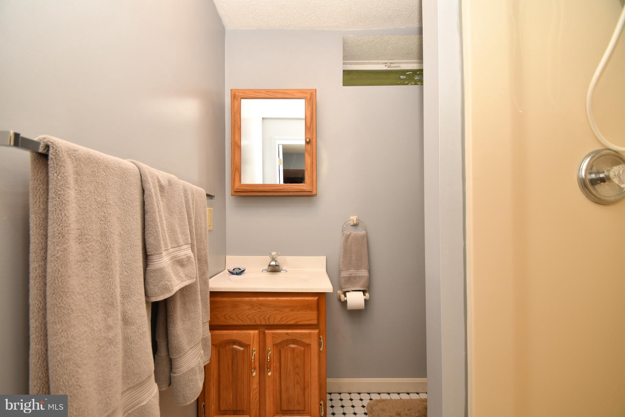 111 Holy Cross Road Street, MD 21154 - Photo 25 of 30 Lower Level Full Bath