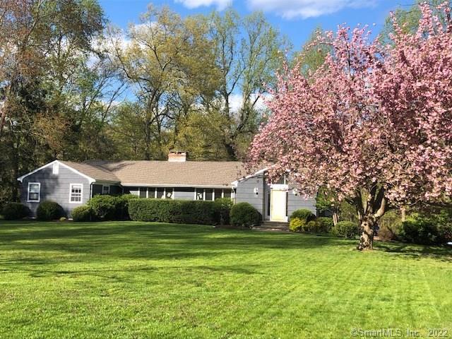 Expansive lawn with blooming Cherry tree at the end of a cul-de-sac. The kids can play all day here!