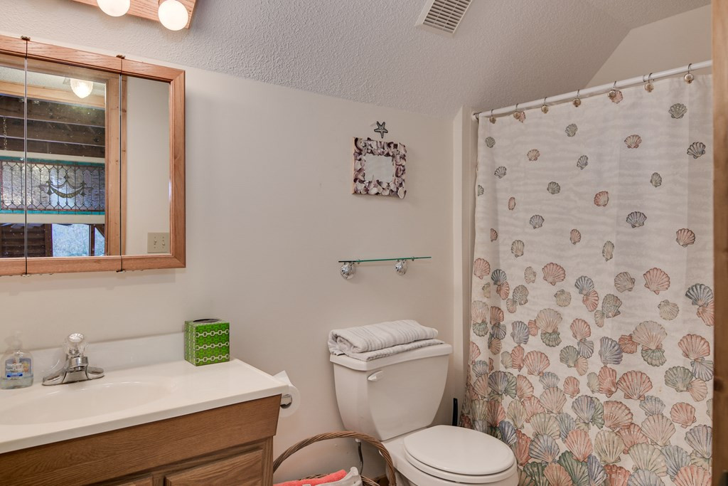 865 Edisto Lake Road Wagener, SC 29164 - Photo 19 of 33 Gallery Image 19