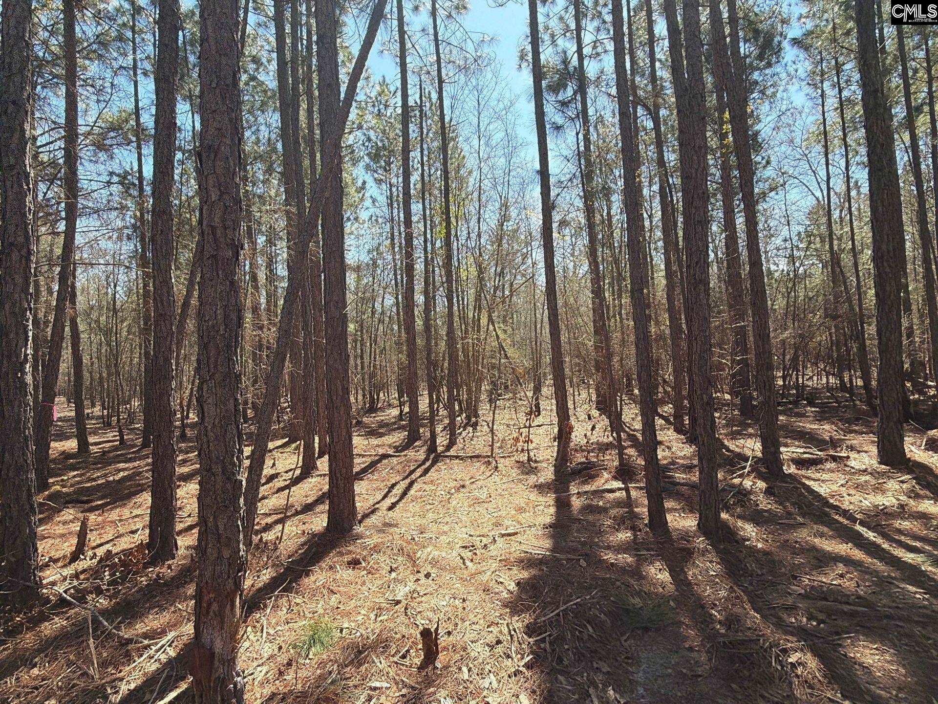 10 Boise Cascade Road, Unit BHL 10 Bethune, SC 29009 - Photo 3 of 24