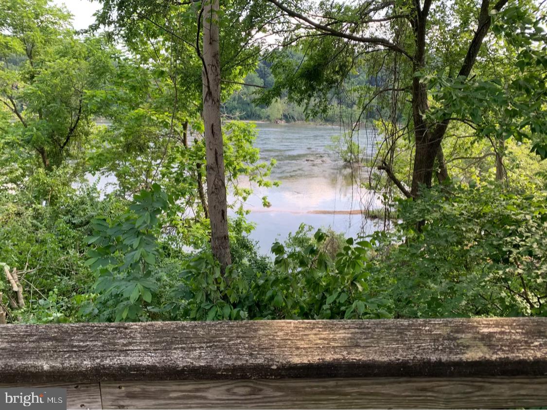 5 Webb Road Cabin John, MD 20818 - Photo 36 of 46 a view of lake with tree